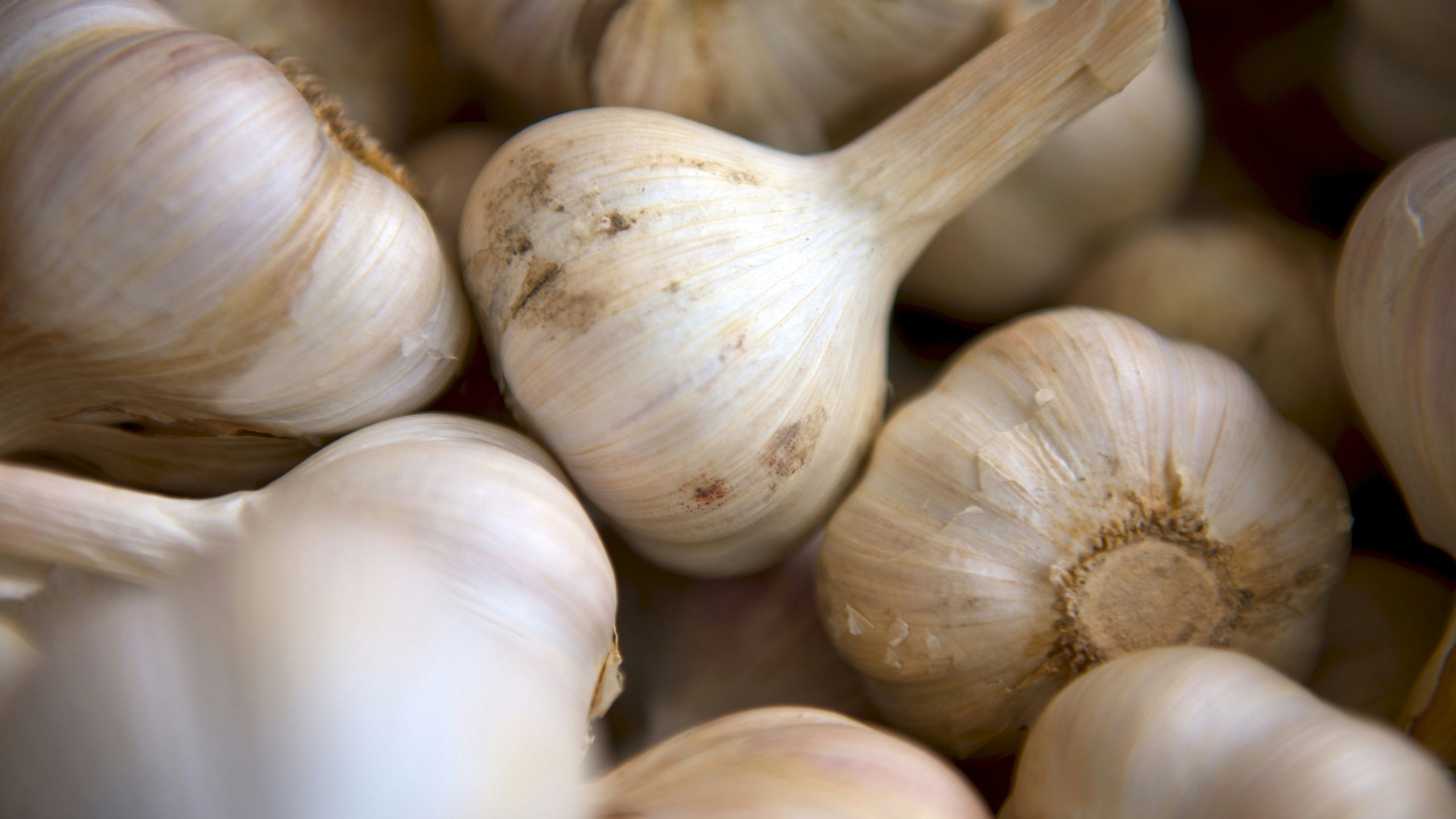 Manfaat Bawang Putih Untuk Meningkatkan Daya Tahan Tubuh
